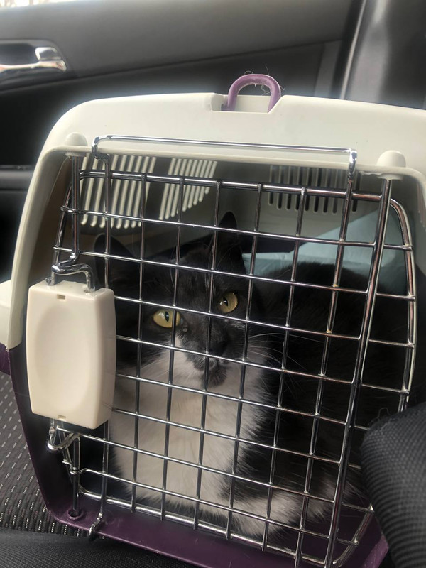 1B74F0C6-0D33-4DF5-9416-222FAA0EE89E