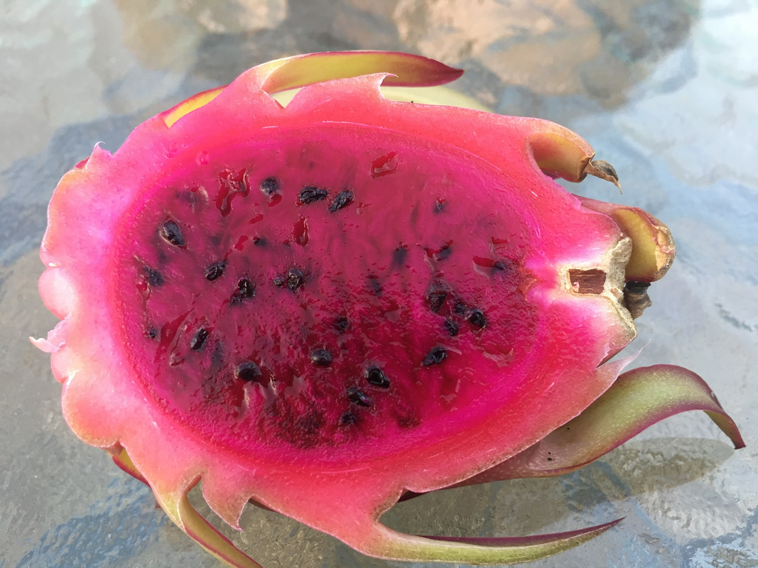 E5B3FF74-4058-4CA0-9FE2-502D2A8D29A3