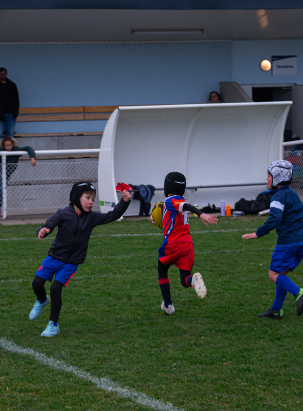 tournoi-de-latlantique-2026-adonis-griffon-132-55181287866-l