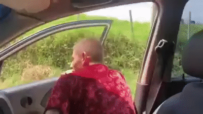 daily-gifdump-3344-12.gif
