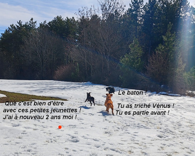 IMG-20260222-115345bb