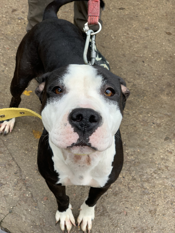 2DEDEC4B-6F41-40EA-9F17-89F14776AFE5