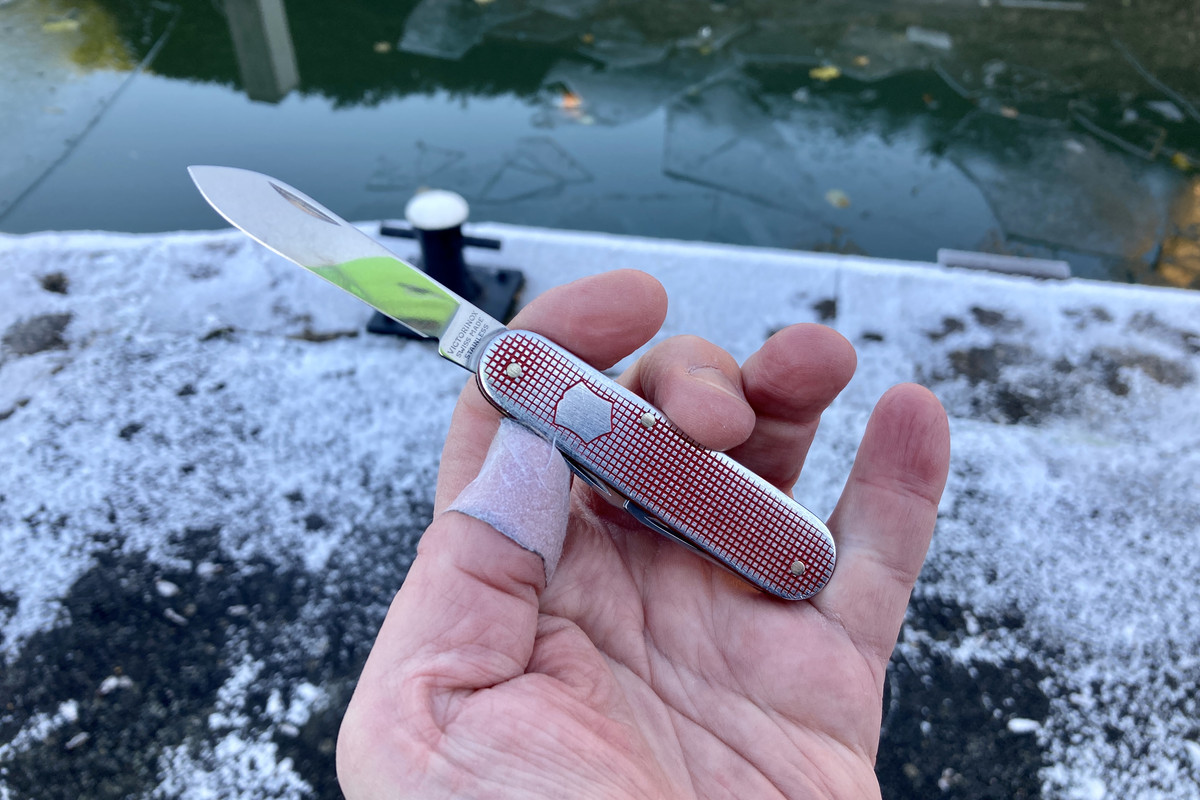 F6BDB5D3-1EDE-493C-BFF1-D09686BCE889