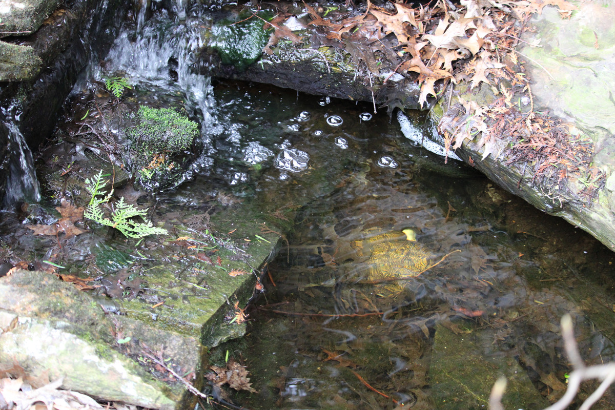 IMG-3197.jpg