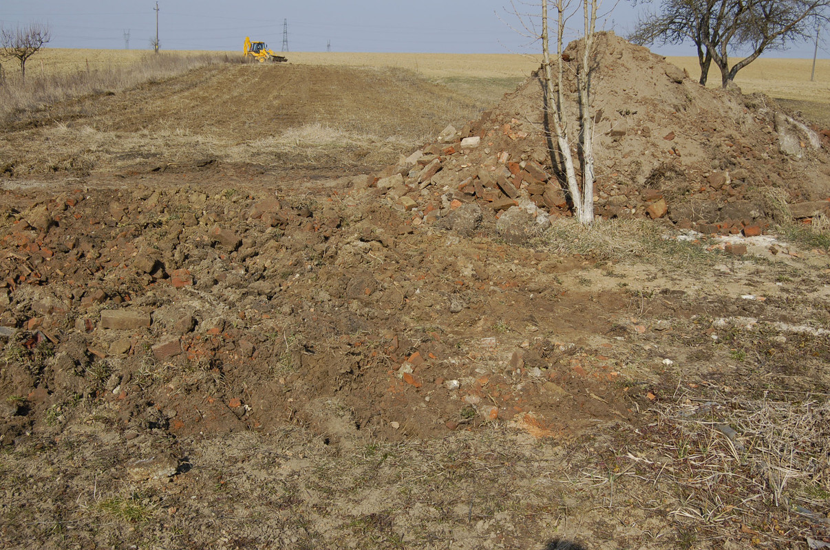 Erste Gartenarbeit (2)alt