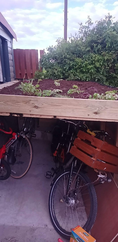 received_498807321342776