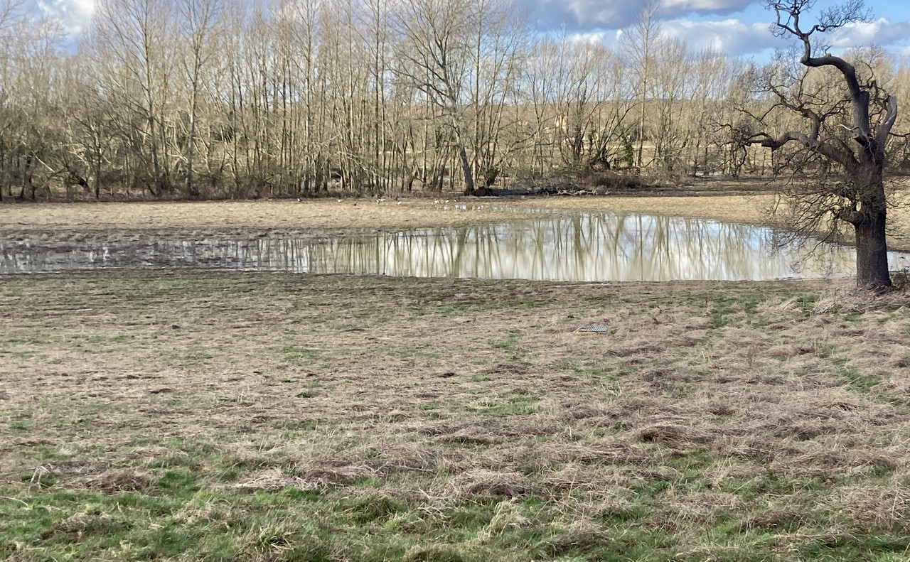 46A3EB17-D50D-4FB0-918E-909BBB0FD1F9