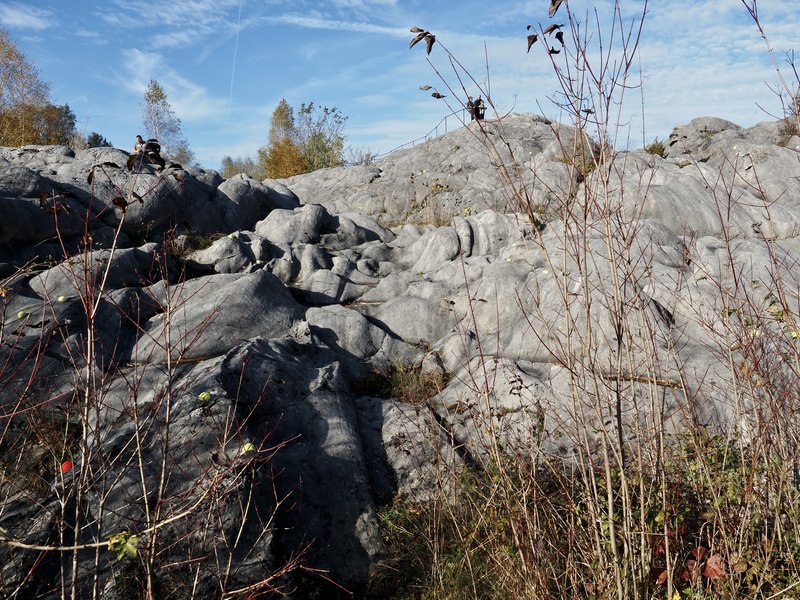 PA300994.jpg