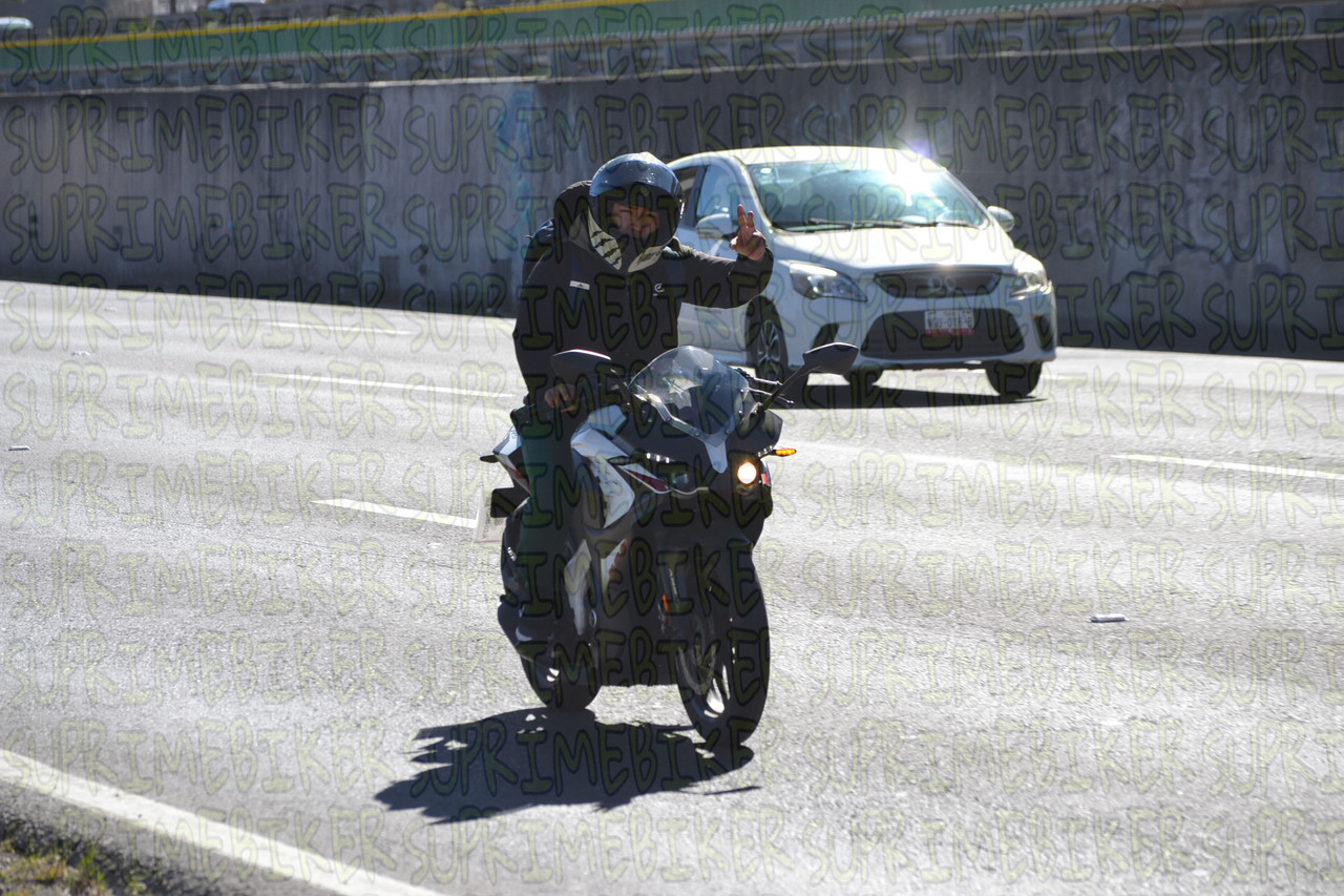 DSC 0558