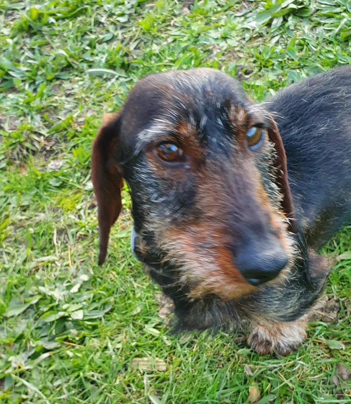 [Image: 20221125-162704.jpg]