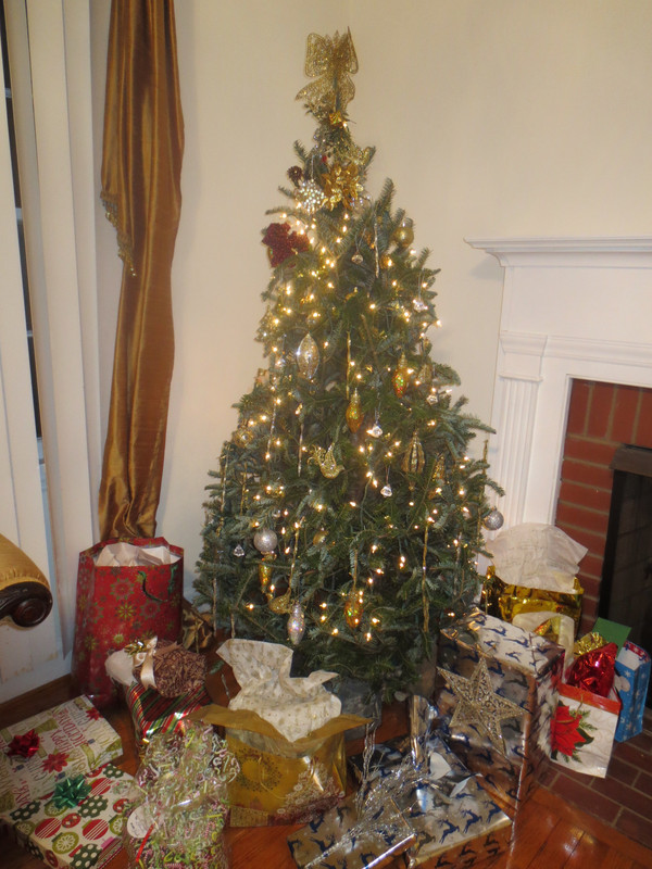 Christmas Trees!