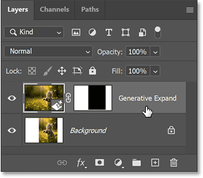 generative-expand-layer
