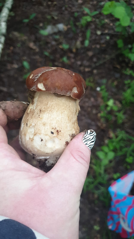 Изображение WhatsApp 2025-06-20 в 18.31.36_f144fe46