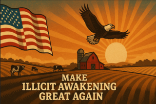 [Image: AMERIKA.png]