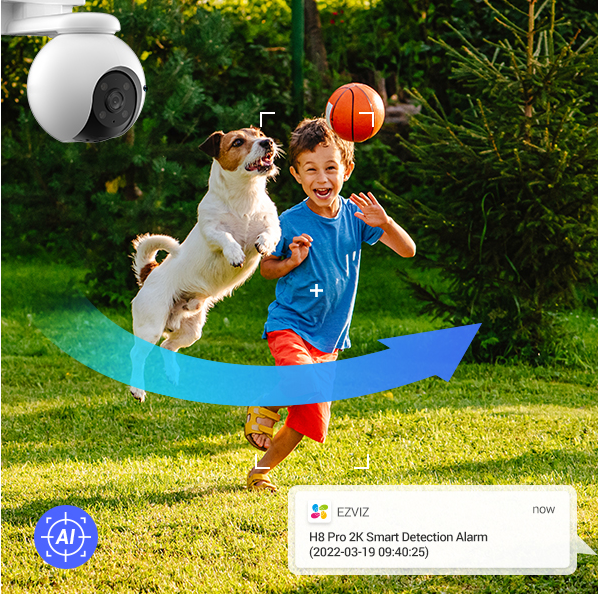 Roomba piantina casa