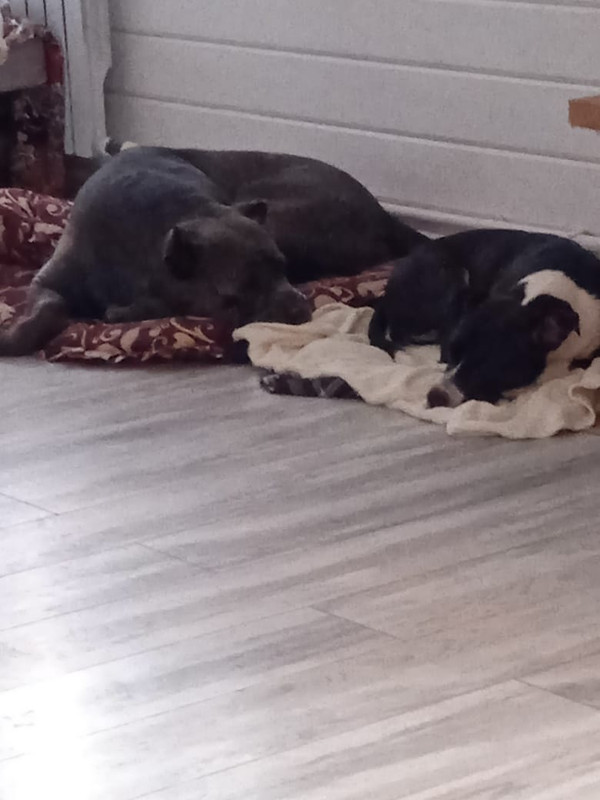 0C9866F6-9268-434F-BCDF-7286DD0288C6