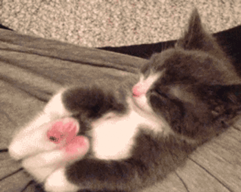 animaatjes-dieren-katten-gifs-170441.gif