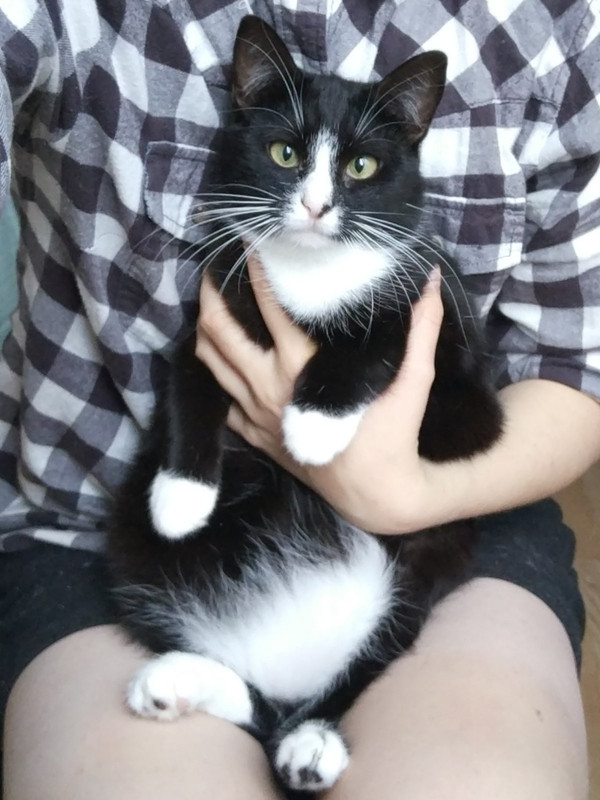 изображение_viber_2021-09-22_15-56-54-359