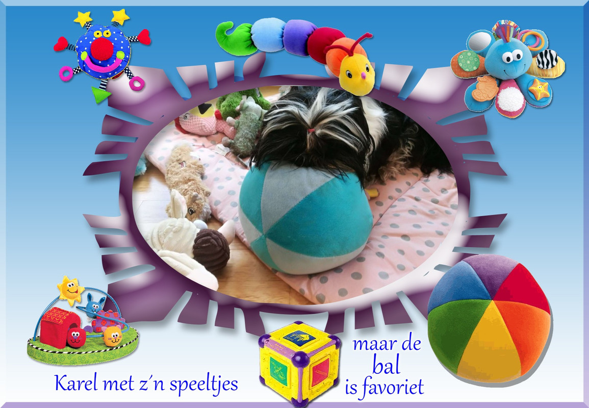 Afbeelding