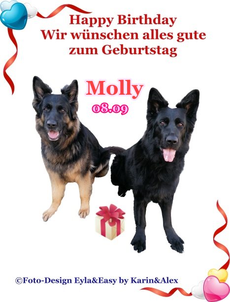 An den Beitrag angehängtes Bild: https://i.postimg.cc/8C42G818/Vorlage-Geburtstagsbild-2022-Molly-08-09-Silvia.jpg