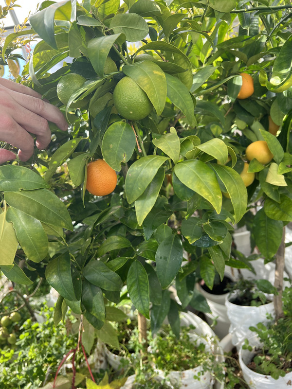 CC4DBB05-CA65-4BC0-B6A3-A212EB8108BB