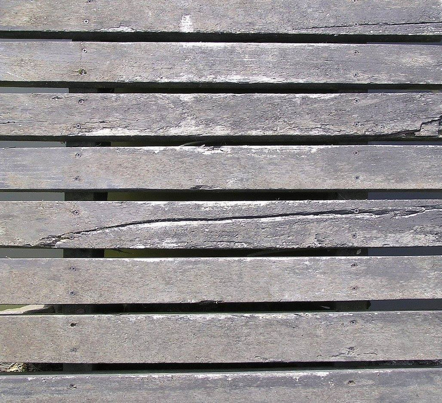 wood-texture-3dsmax (13)