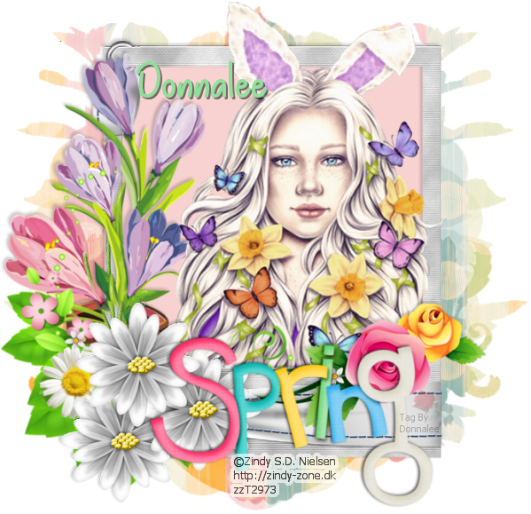 WWO - Zindy Cute Bunny Donnalee-cute-bunny
