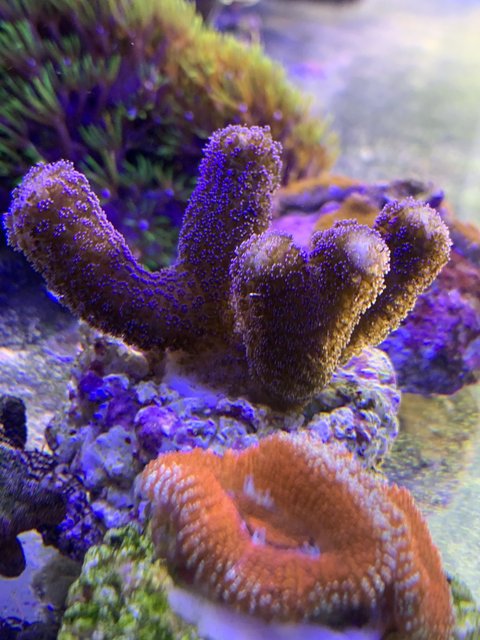 B1E38B11-F819-4316-8B33-218A81C43766