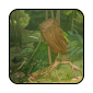 woodland-path1.png
