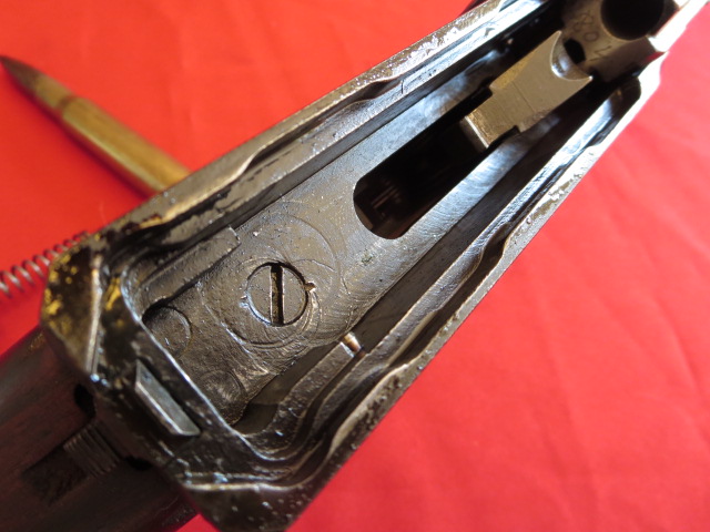 IMG-3586