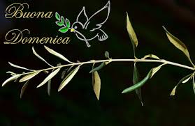 Buona domenica delle palme !!