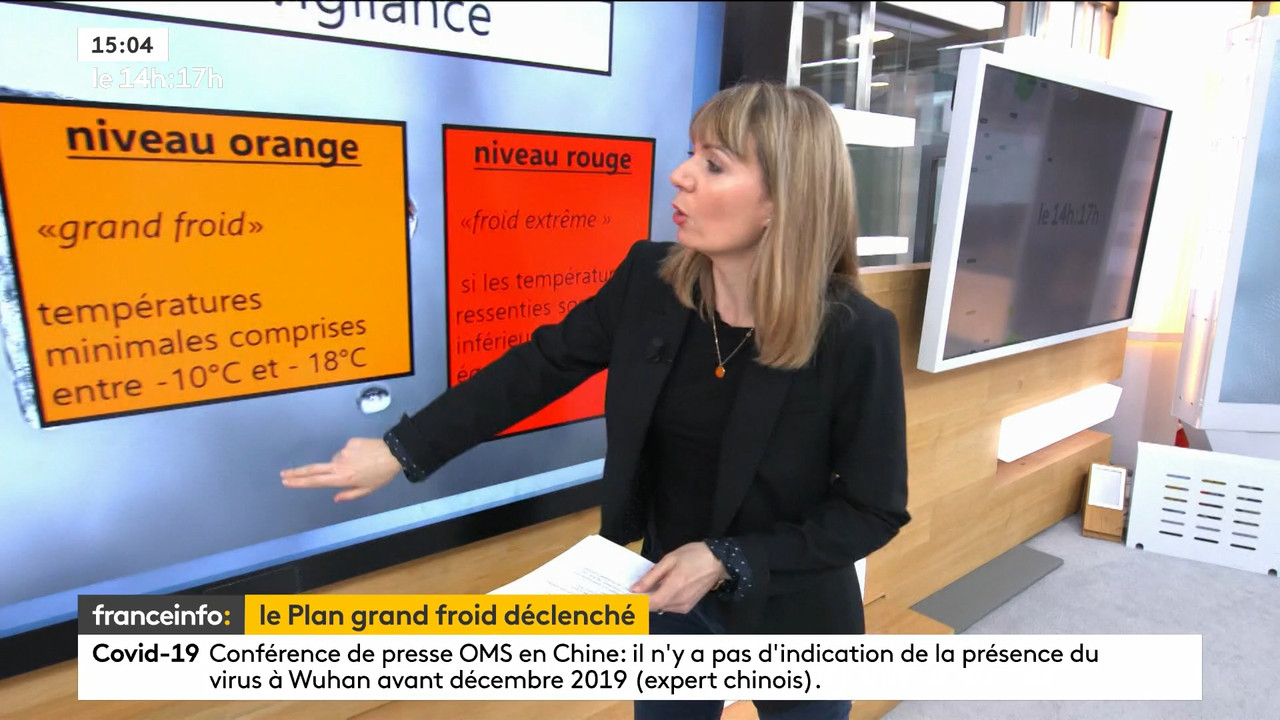 02.09 - 12.59.00 - Le 14h-17h. Au sommaire   Vrai ou fake. - francein..._001.ts_snapshot_00.18.249