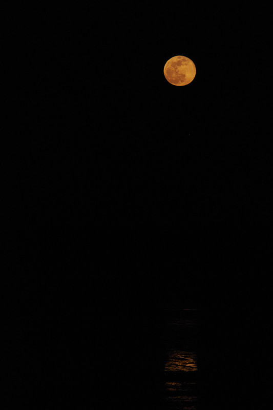 2_19_19_moon 5