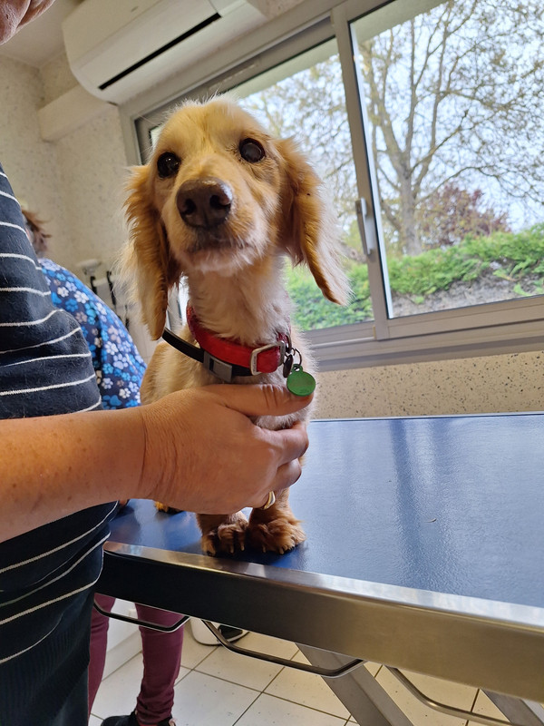 [Image: 20240419-172341.jpg]