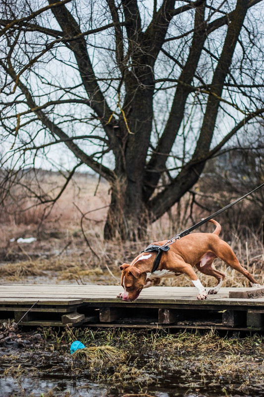 без имени-0531