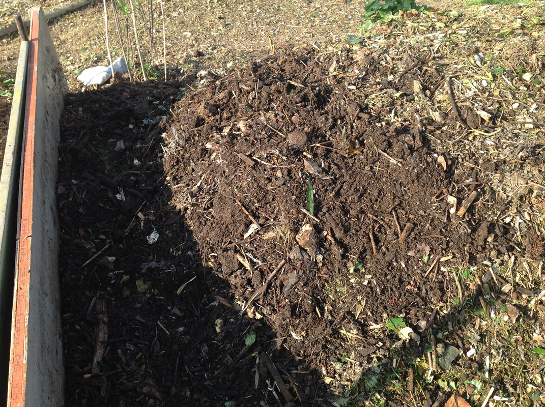 Kompostmiete Aus Drei mach Eins 3.Okt. 2015 (11)