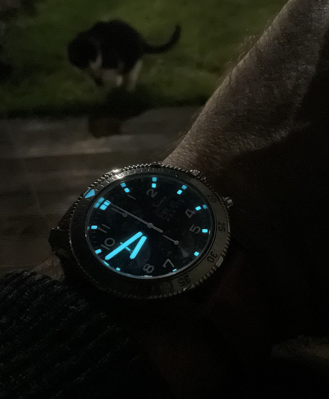 66595574-9CC8-4DAA-9499-FA605A6B8491