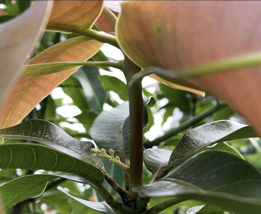 EC194E3B-8192-44DA-8C99-B22243758665