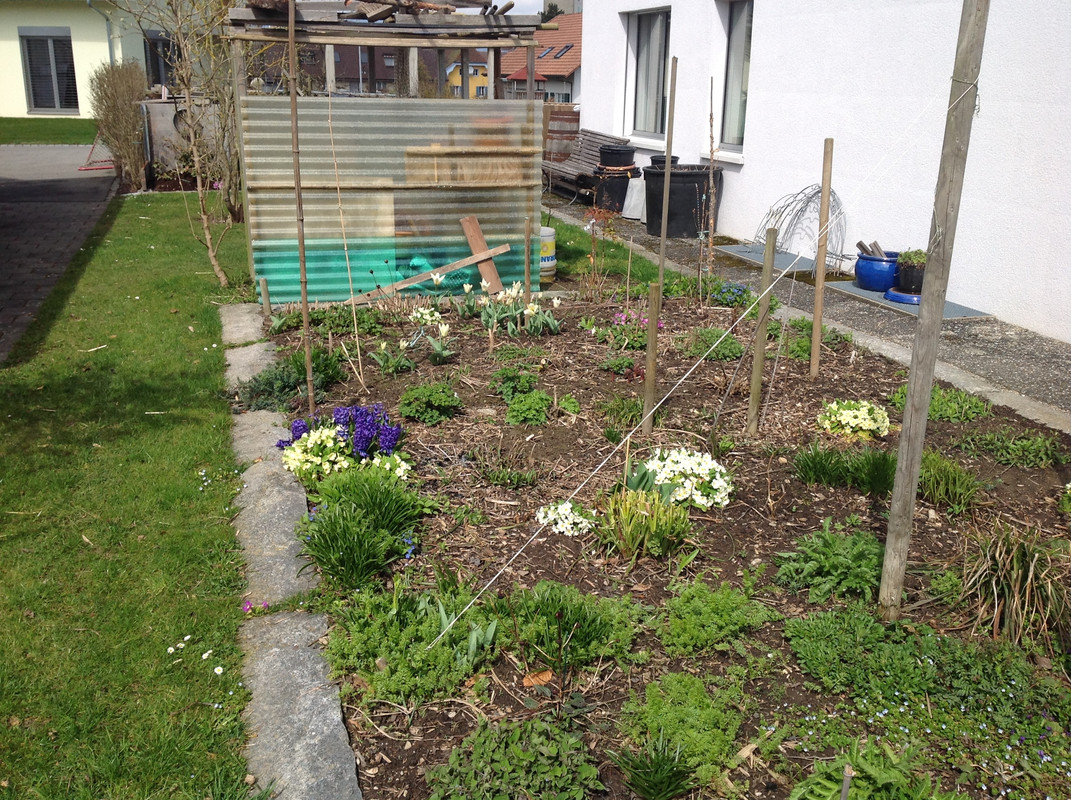 Gartenarbeiten Einblick 3.April 2015 (11)