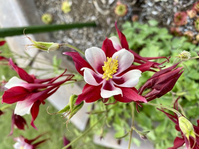 [Image: 9-D20-A23-A-4-F70-4-B0-B-8238-9-D803-D9149-C4.jpg]