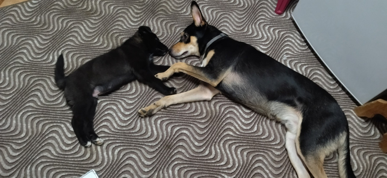 F0367C91-4FD6-45F5-A270-C7D5B83AA389