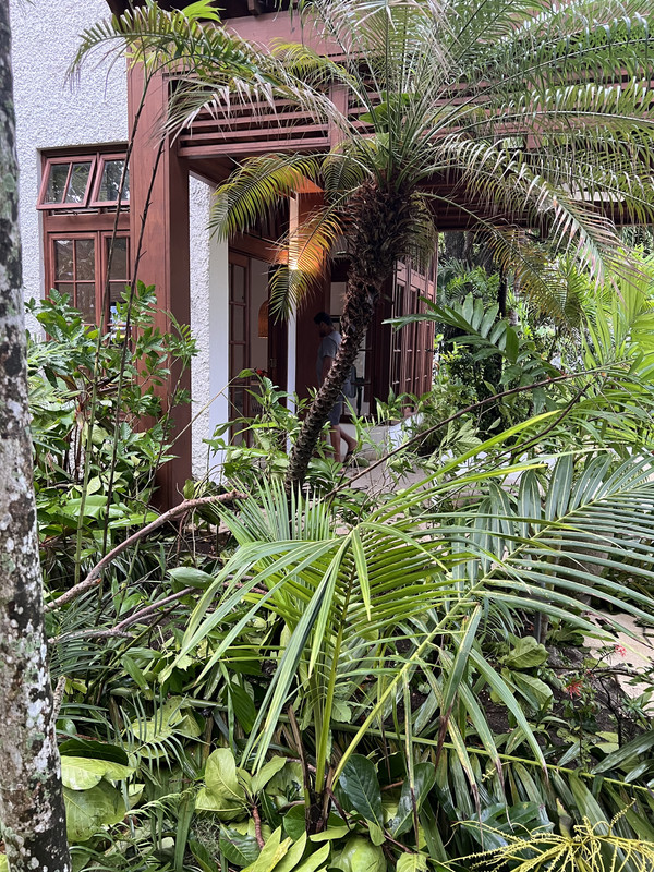 3A3AED2F-33A4-4BBD-BCF9-D41081E03E81