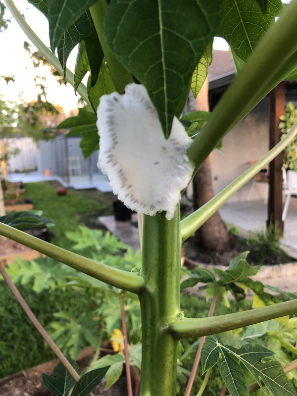 585AF5B4-7DA2-42AD-A2DC-C1C23F3326C7