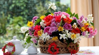 66f2ad84-7121-5d4d-b741-26cbfdfecc13