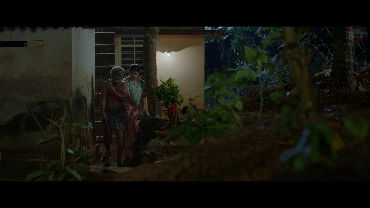 vlcsnap 2026 02 11 15h59m14s828