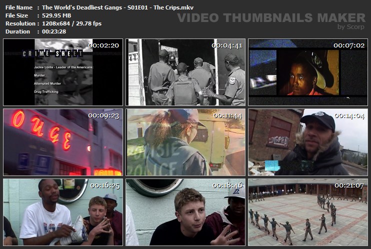 The World s Deadliest Gangs S01E01 The Crips mkv