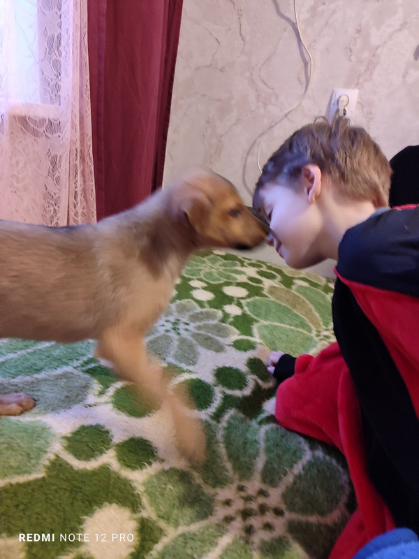 IMG-202343aed7bc62a4a3de784df7a54b54-V