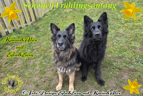 Fruhlingsanfang-GB-20-03-2026