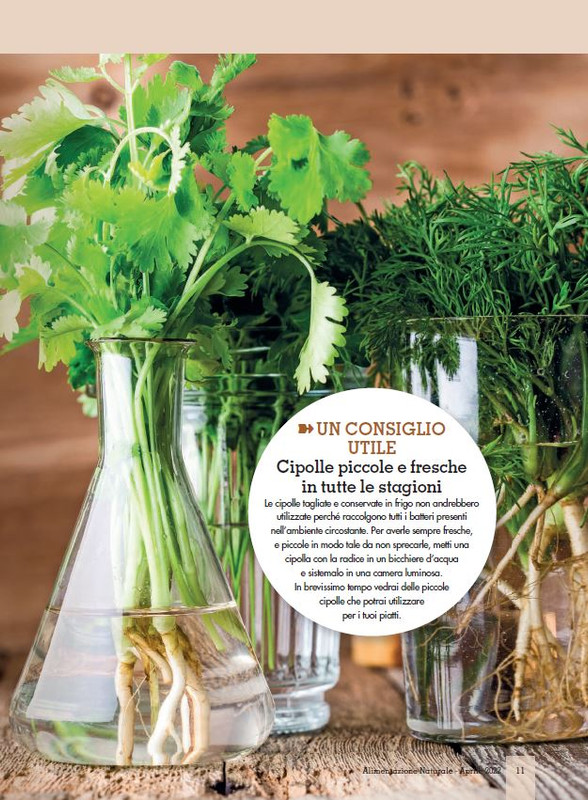 Alim Nat Apr 2022 (2)