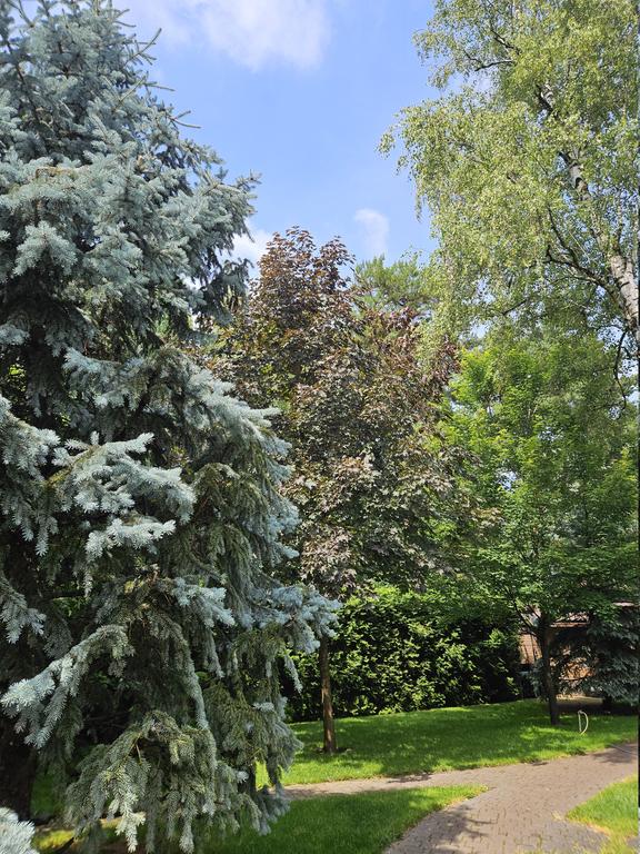 [Image: 20260607-142111.jpg]